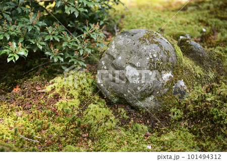 春の三千院　わらべ地蔵　京都市左京区大原 101494312
