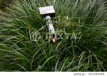 春の三千院　手水鉢　京都市左京区大原 101494409