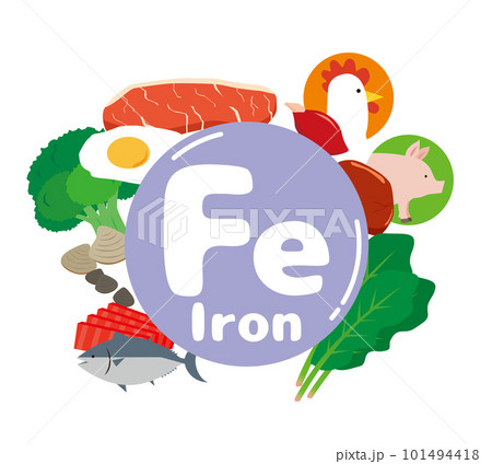 鉄分を含む食材のイラスト 101494418