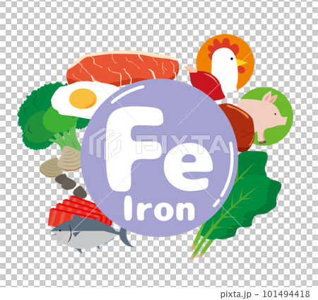 鉄分を含む食材のイラスト 101494418