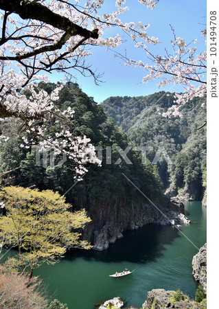 瀞峡の桜　【奈良県十津川村】 101494708
