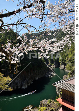 瀞峡の桜　【奈良県十津川村】 101494714