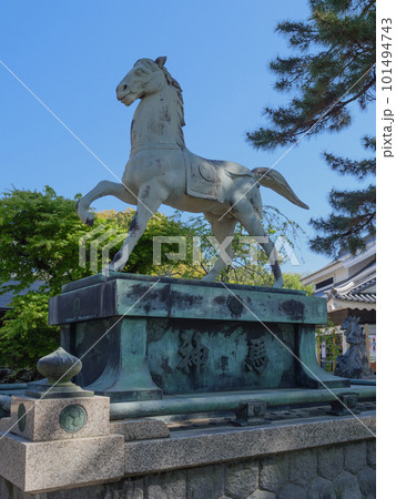 龍城神社神馬（岡崎公園） 101494743