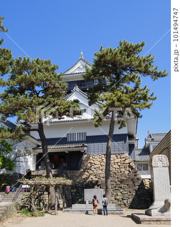 岡崎城天守と松 岡崎城天守と松 101494747