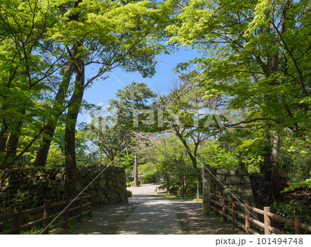 新緑の岡崎城太鼓門跡(石垣) 新緑の岡崎城太鼓門跡(石垣) 101494748