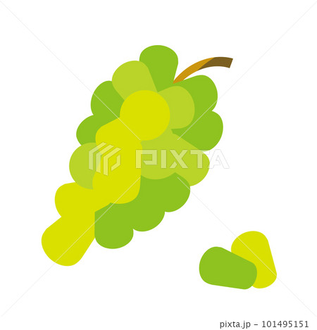 ポップなみどりのブドウのイラスト ポップなみどりのブドウのイラスト 101495151