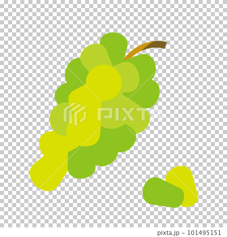 ポップなみどりのブドウのイラスト ポップなみどりのブドウのイラスト 101495151