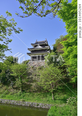 新緑の西尾城 101495264