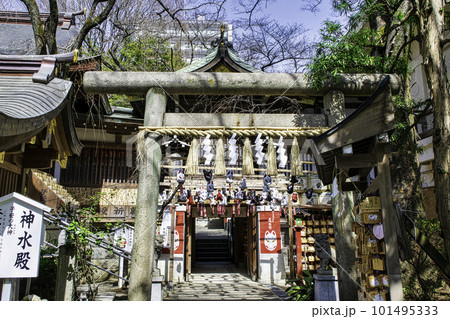 八王子市 安産祈願の子安神社 八王子きつね祭りの日 八王子市 安産祈願の子安神社 八王子きつね祭りの日 101495333