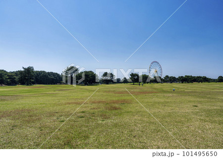 春の国営ひたち海浜公園　公園の広場　大草原　茨城県ひたちなか市 101495650