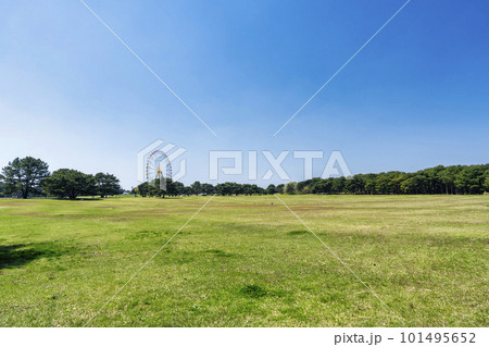 春の国営ひたち海浜公園　公園の広場　大草原　茨城県ひたちなか市 101495652