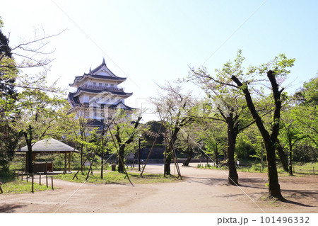 春の亥鼻城　千葉市 101496332