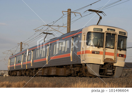 JR東海313系(永和~弥富)(2両) JR東海313系(永和~弥富)(2両) 101496604