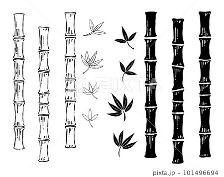 手描きのペン画_竹、笹のイラスト素材 手描きのペン画_竹、笹のイラスト素材 101496694