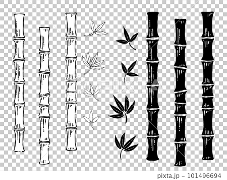 手描きのペン画_竹、笹のイラスト素材 手描きのペン画_竹、笹のイラスト素材 101496694