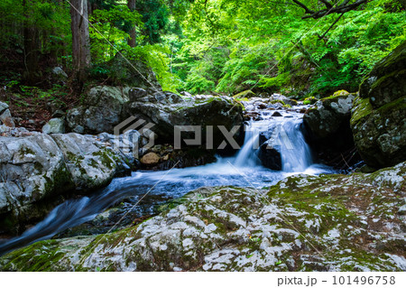 新緑の白賀渓谷 101496758