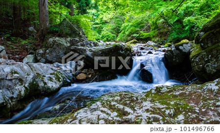 新緑の白賀渓谷 101496766