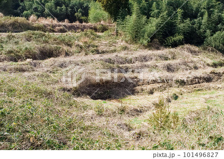耕作放棄地 101496827