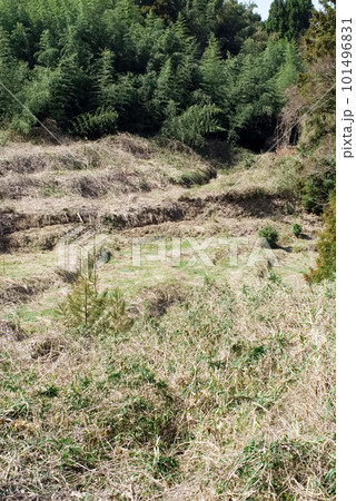 耕作放棄地 101496831