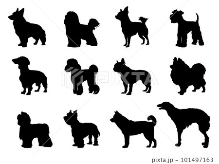 トイプードル チワワ ダックスなどの犬のシルエット12頭セット トイプードル チワワ ダックスなどの犬のシルエット12頭セット 101497163