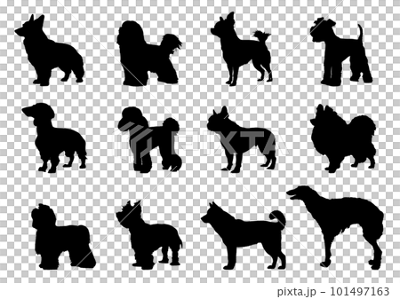 トイプードル チワワ ダックスなどの犬のシルエット12頭セット トイプードル チワワ ダックスなどの犬のシルエット12頭セット 101497163