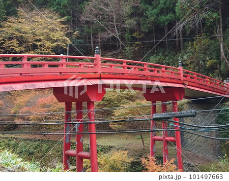 秋の自然の中の和風な橋 秋の自然の中の和風な橋 101497663
