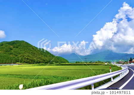 蒜山（ひるぜん）高原の青々とした田んぼが広がる風景　岡山県真庭市蒜山 101497811