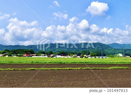 蒜山(ひるぜん)高原の掘り起こされた畑の豊かな土が広がる風景 岡山県真庭市蒜山 蒜山(ひるぜん)高原の掘り起こされた畑の豊かな土が広がる風景 岡山県真庭市蒜山 101497813