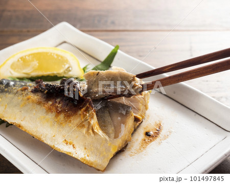 鯖の西京焼き 鯖の西京焼き 101497845