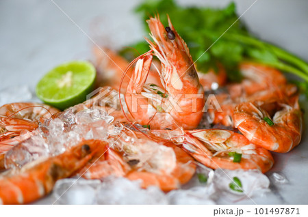 shrimp on white plate background dining table food, Fresh shrimps prawns seafood lemon lime with herbs and spice shrimp on white plate background dining table food, Fresh shrimps prawns seafood lemon lime with herbs and spice 101497871