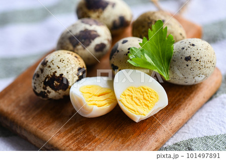 boiled eggs food, quail eggs on wooden plate, breakfast eggs with fresh quail eggs and vegetable coriander on food table background 101497891