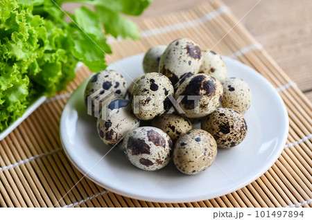 boiled eggs food, quail eggs on white plate, breakfast eggs with fresh quail eggs and vegetable coriander on wooden table background 101497894