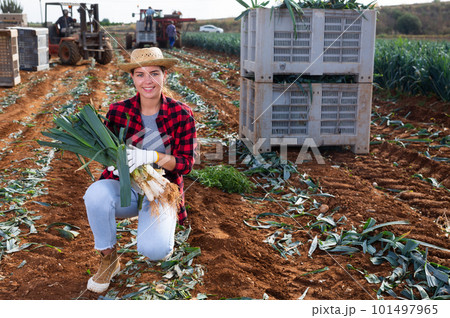Woman posing with leek crop on field 101497965