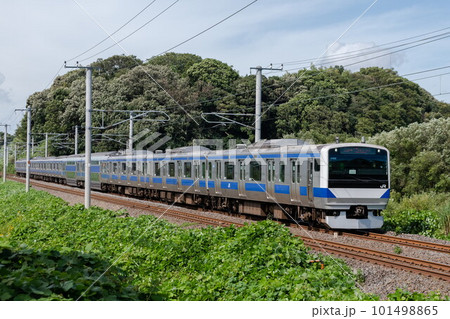 緑の中を通過する常磐線電車 101498865