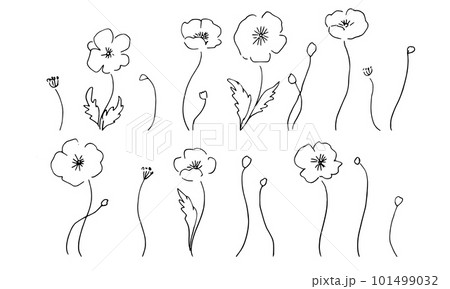 線画。線画タッチのポピーの花のベクターイラスト。のイラスト素材