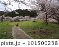 桜のある風景 101500238