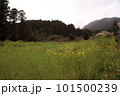 桜のある風景 101500239