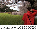 桜を撮る女性 101500520
