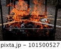 焚き火でお松明を焼く 101500527