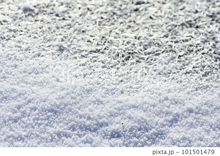 雪のクローズアップ 雪のクローズアップ 101501479