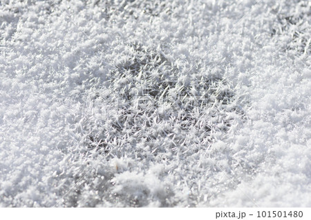 雪のクローズアップ 雪のクローズアップ 101501480
