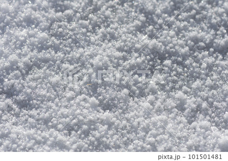 雪のクローズアップ 101501481
