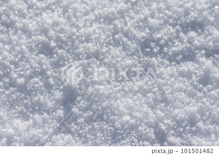 雪のクローズアップ 雪のクローズアップ 101501482