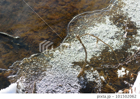 凍結した冬のウトナイ湖風景 凍結した冬のウトナイ湖風景 101502062