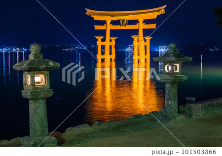 幻想的な夜の大鳥居と石灯篭群　厳島神社　　広島県 101503866