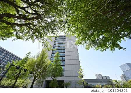 「東京都」新緑に映える議員会館 101504891