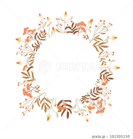 Round floral frame from field plants and flowers on a white background. Autumn colors floral motifs. 101505150