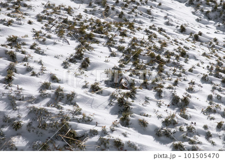 冬の八ヶ岳 101505470