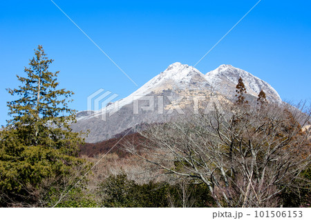 冬の由布岳 101506153