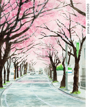 油絵 油彩  絵 絵画【Çherry blossom road】 601e970f8532e74333291b0a6653e5
